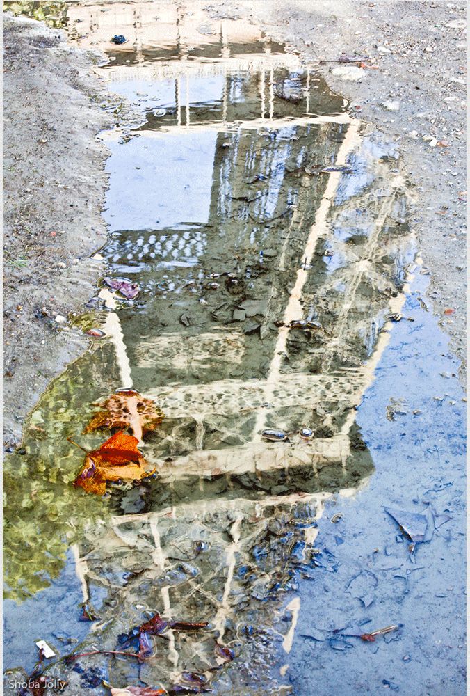 Perspective by Shobha Jolly