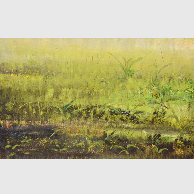 Landscapes and more